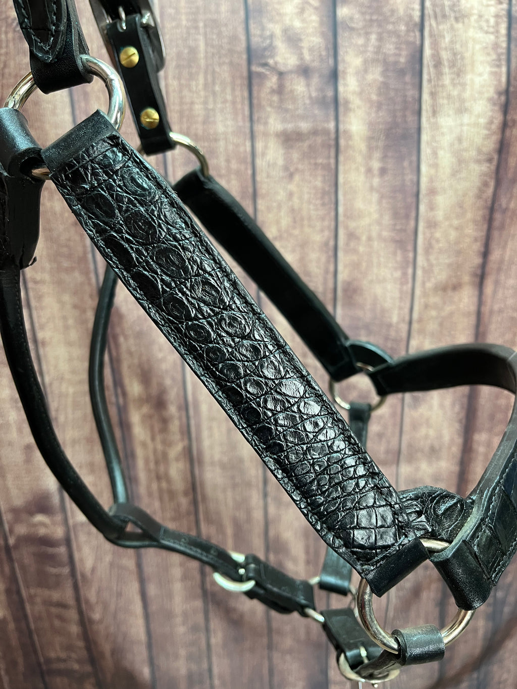 Caiman Halter #11 Horse