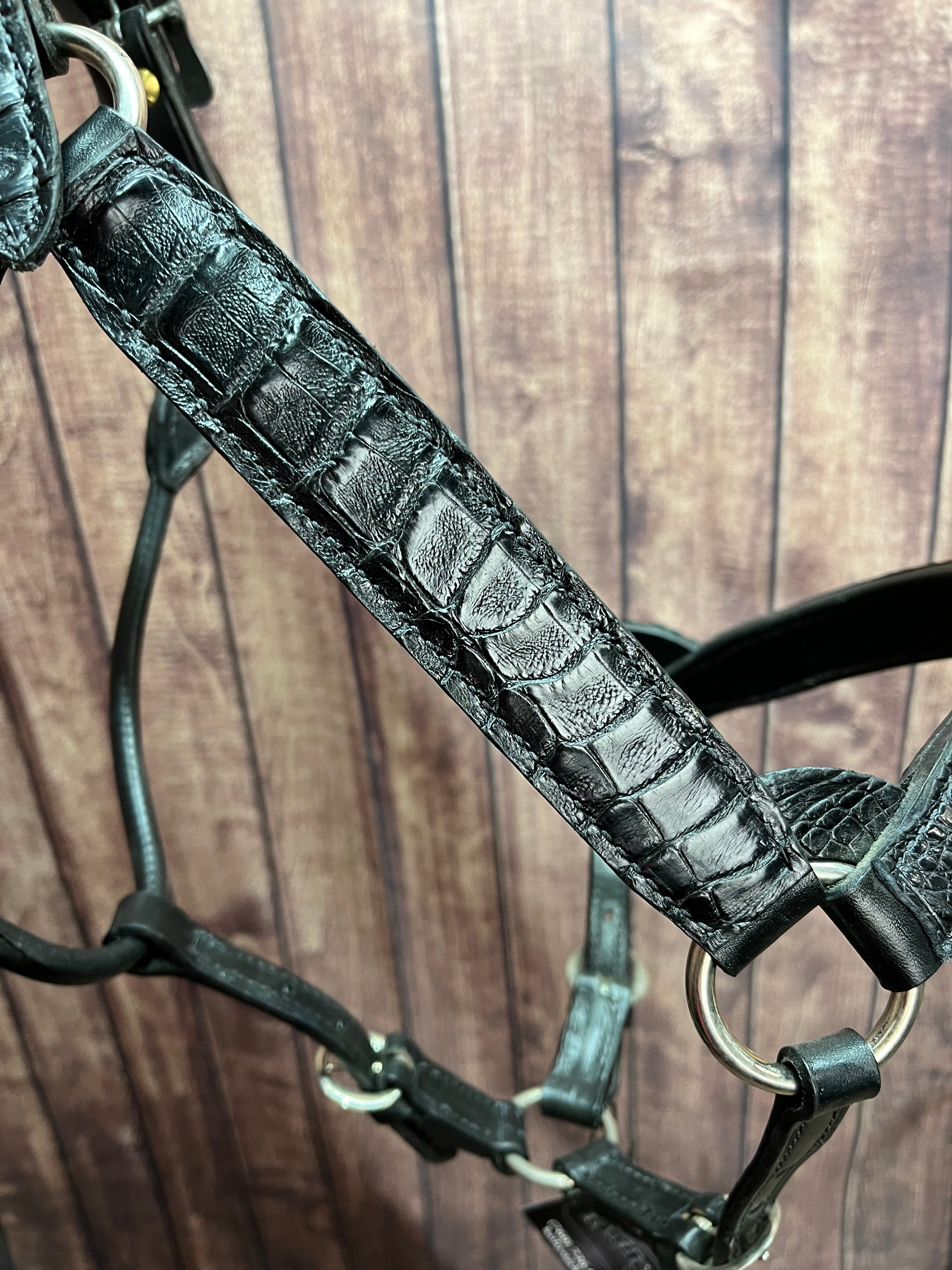 Caiman Halter #12 Horse