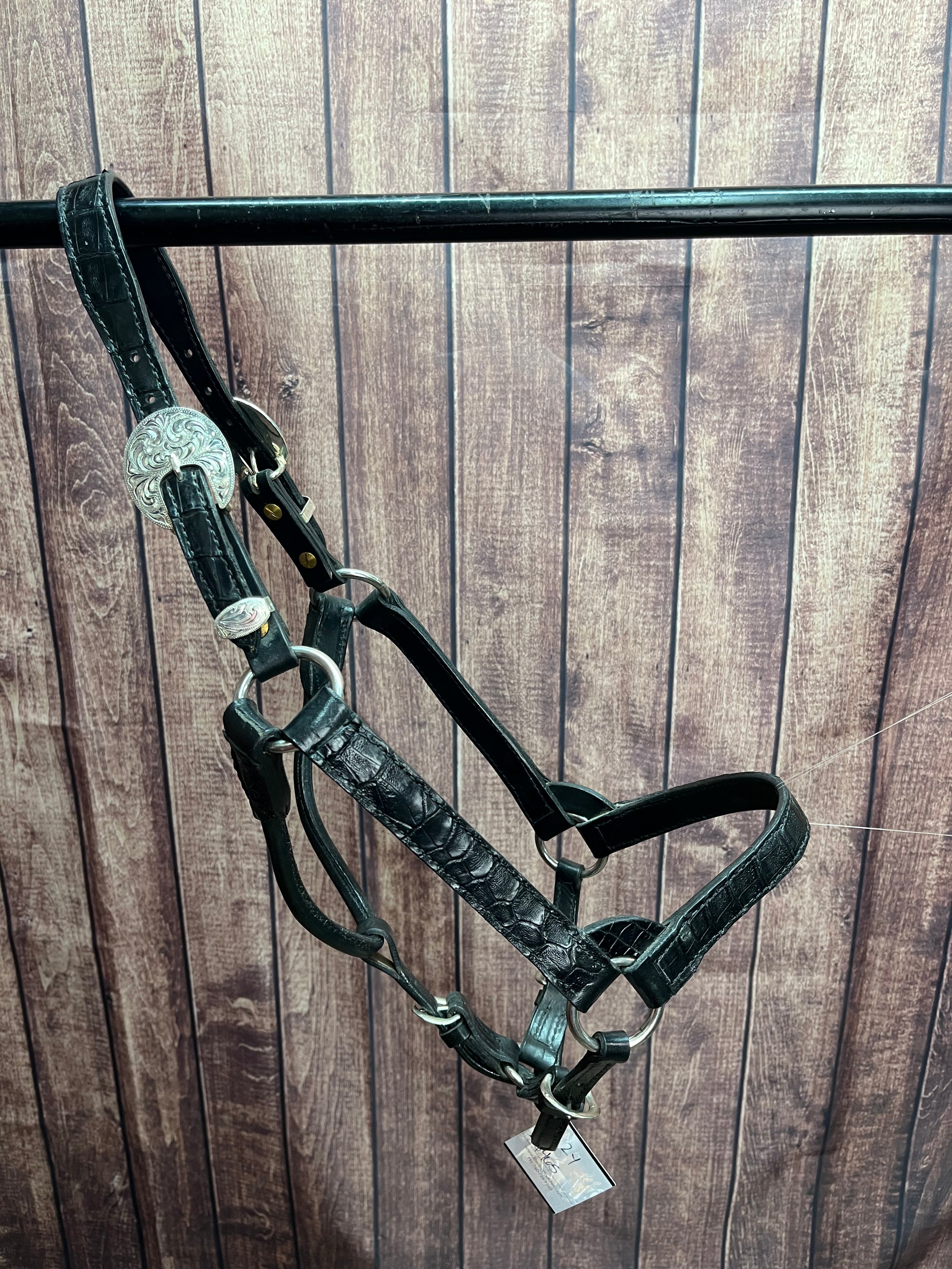 Caiman Halter #13 2Yr/Mare