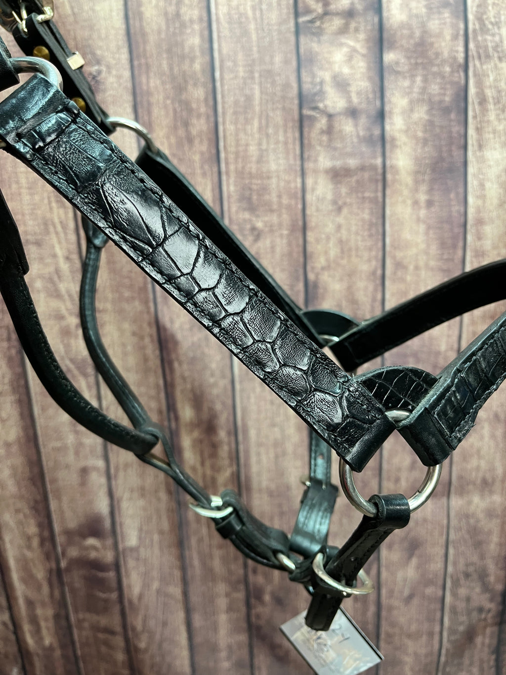 Caiman Halter #13 2Yr/Mare