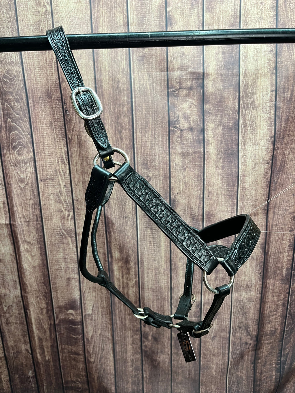 Tooled Halter #14 2Yr/Mare