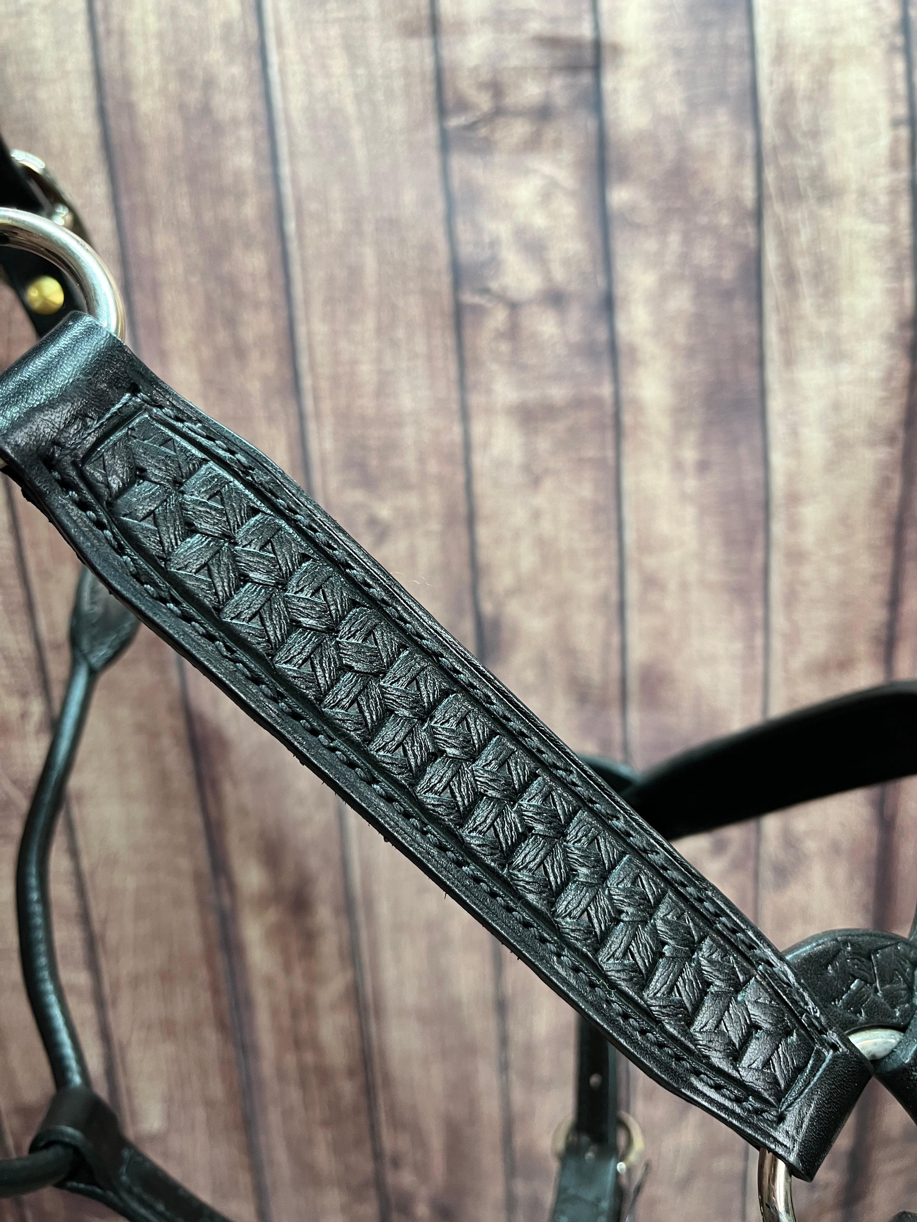 Tooled Halter #14 2Yr/Mare