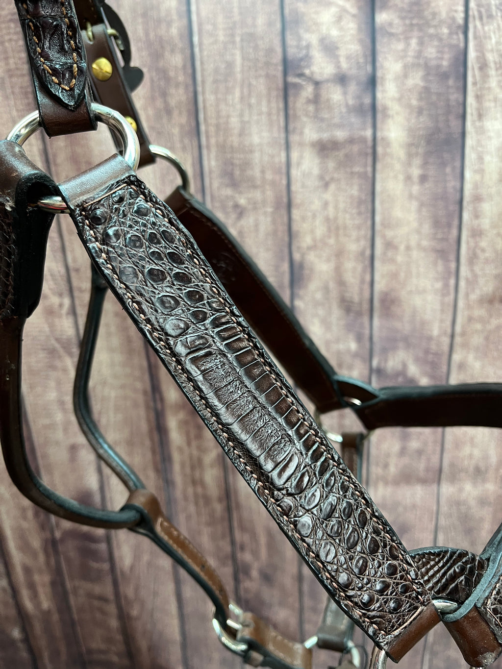 Caiman Halter #19 Horse