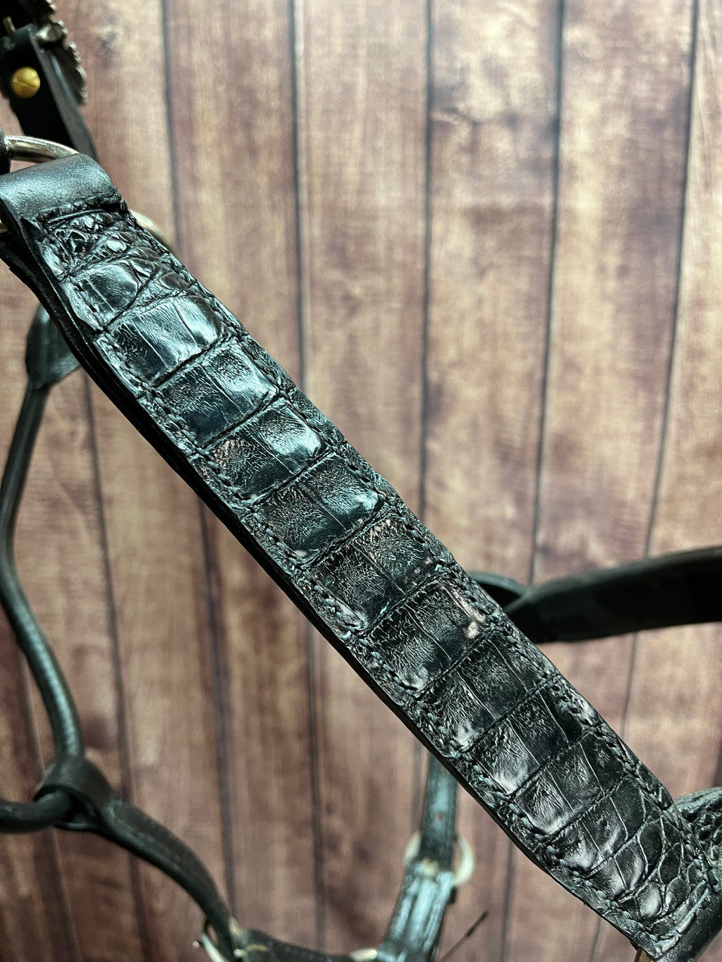 Caiman Halter #20 Lg Horse