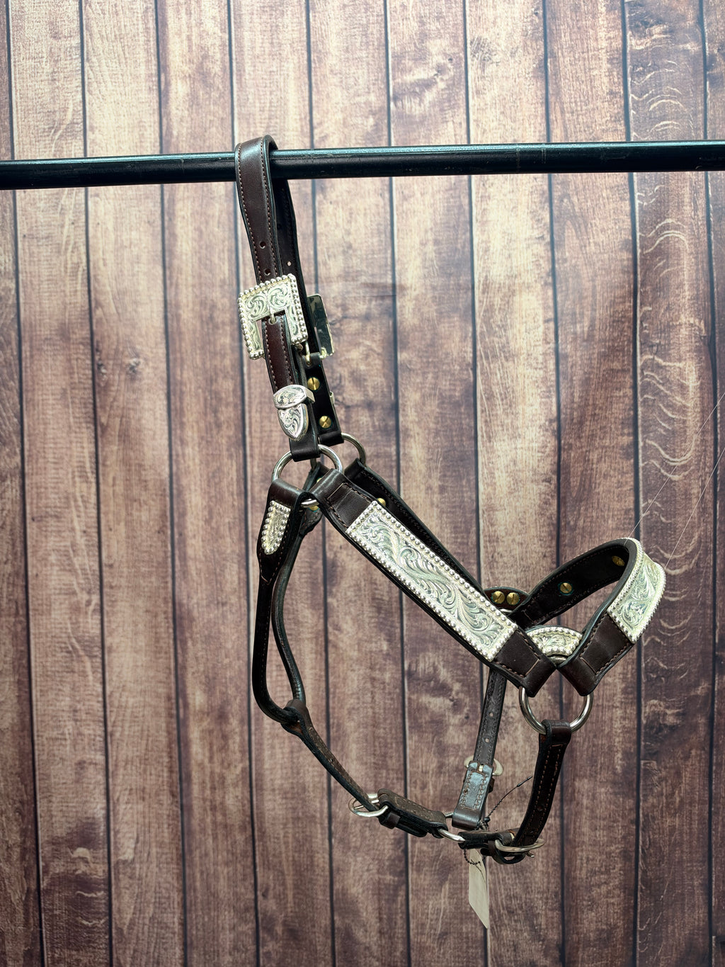 Santana 2yr/Mare Halter #106