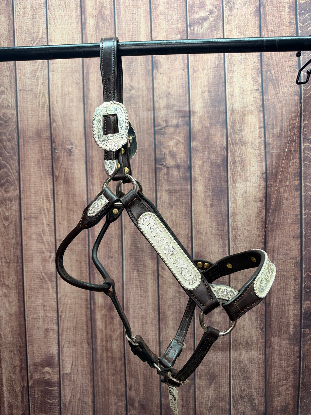 Santana 2Yr/Mare Halter #255