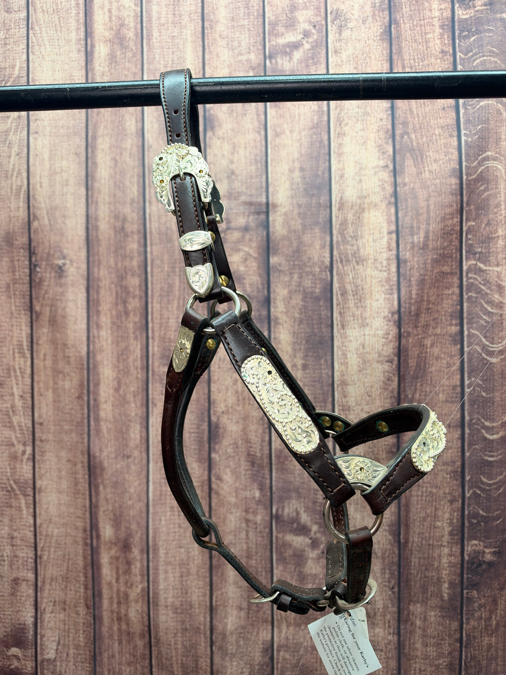 Santana Weanling Halter #345