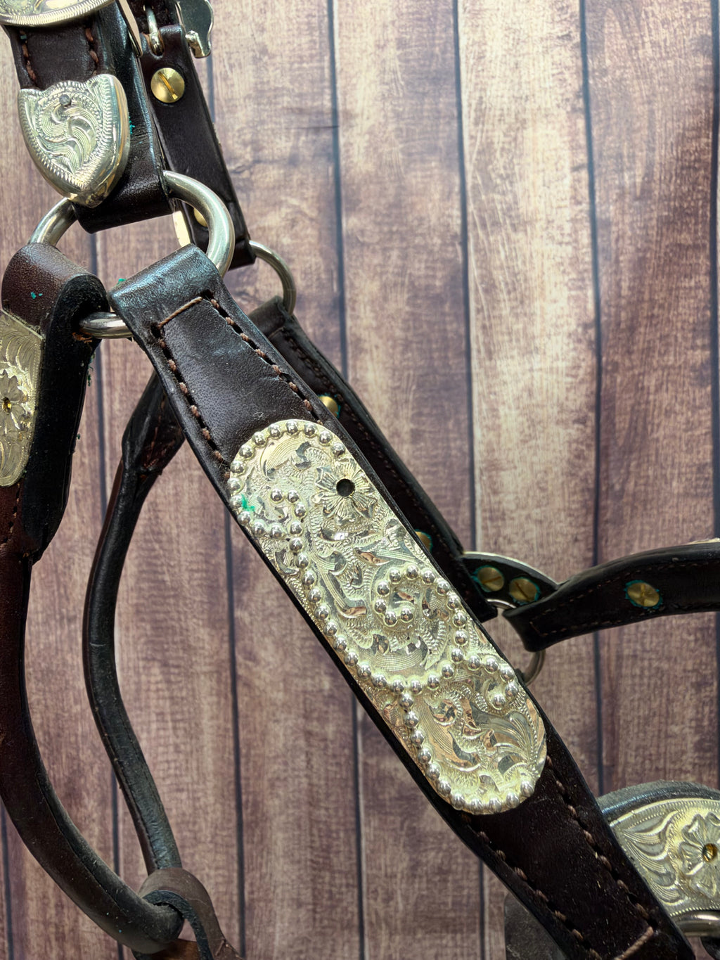 Santana Weanling Halter #345
