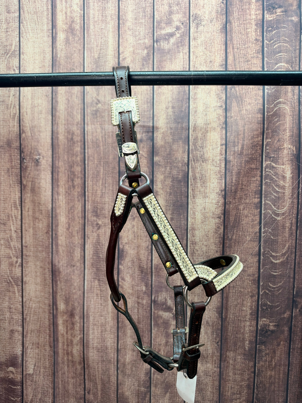 Santana Weanling Halter #102