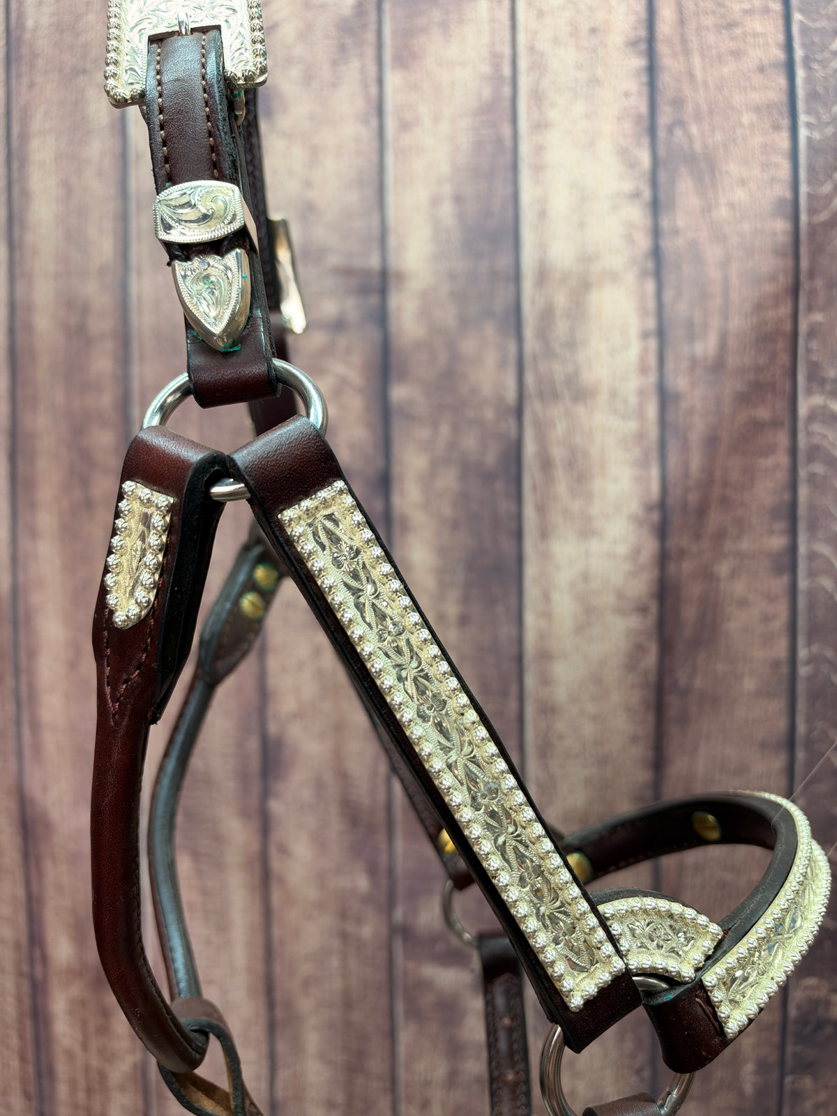 Santana Weanling Halter #102