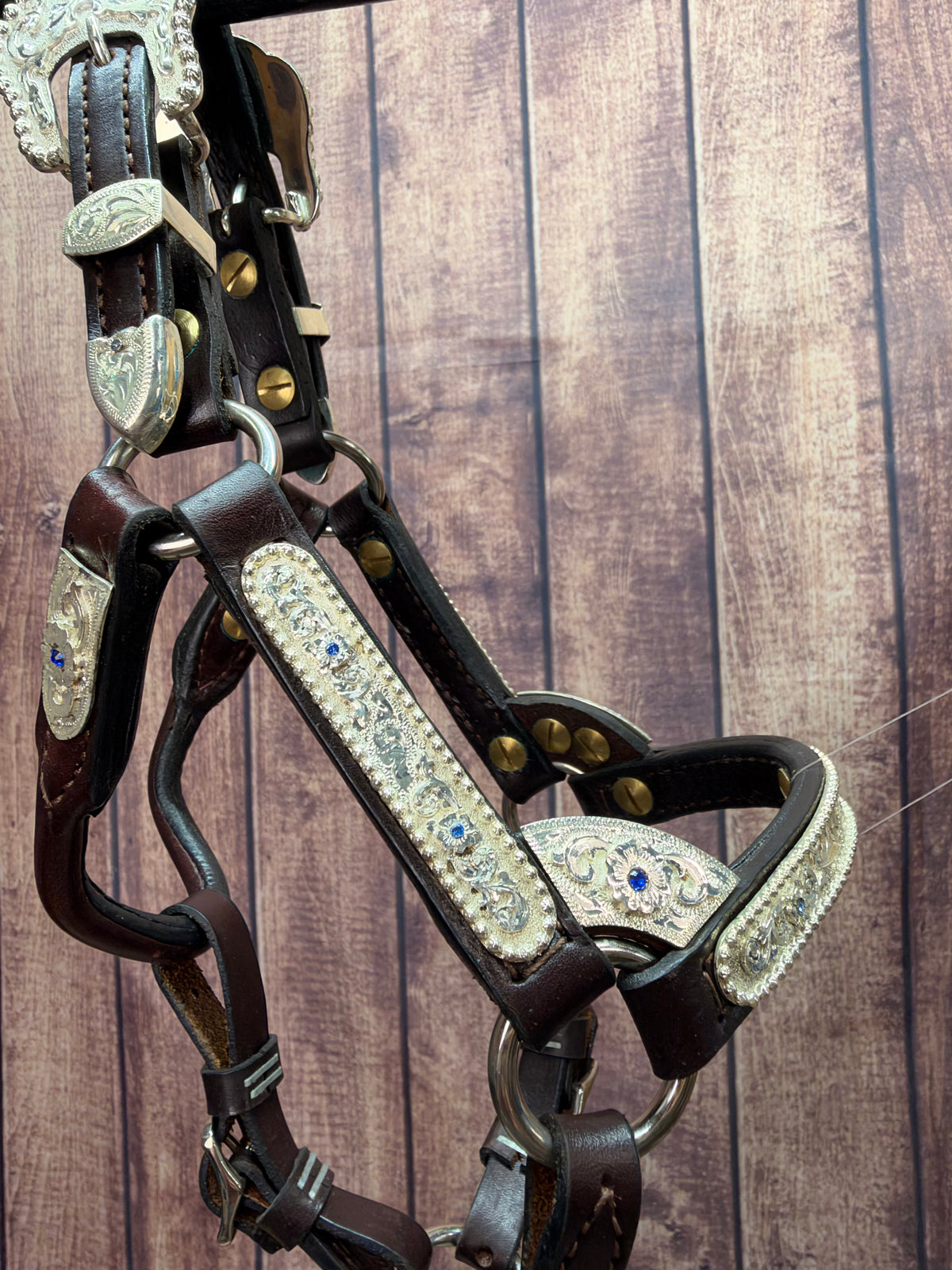 Santana Mini C Santana Halter #255