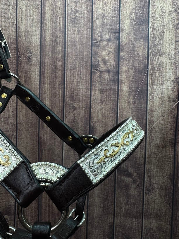 #432 Santana Halter