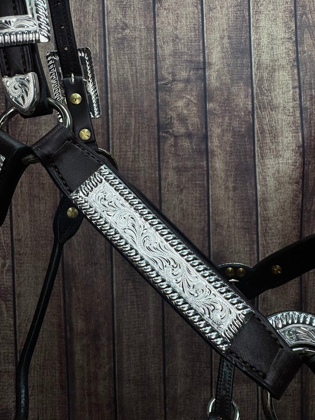 #108 Santana Halter