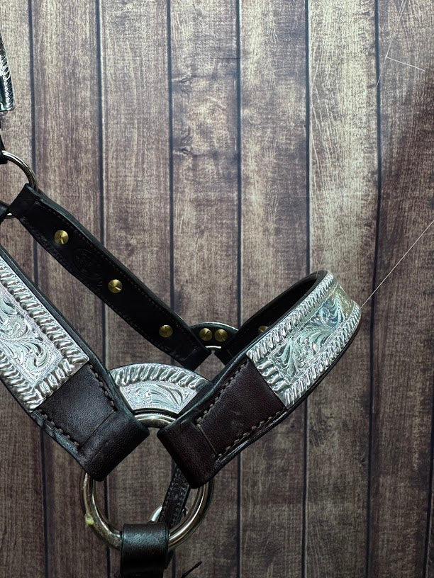 #108 Santana Halter
