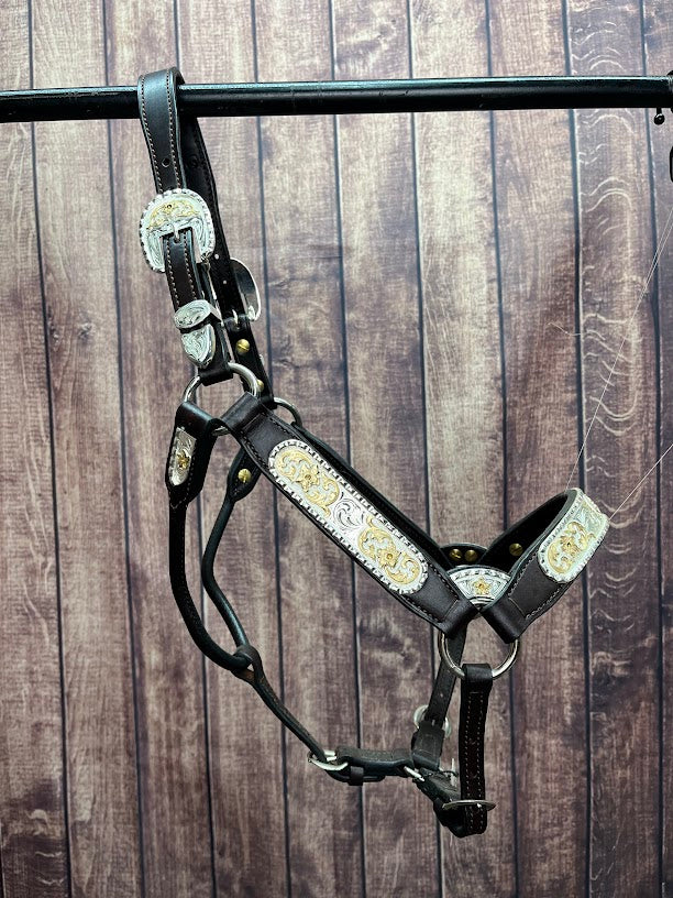 #310 Santana Halter