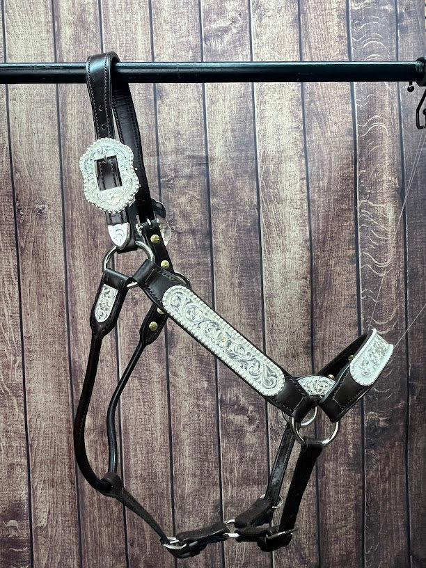 Yearling Halters