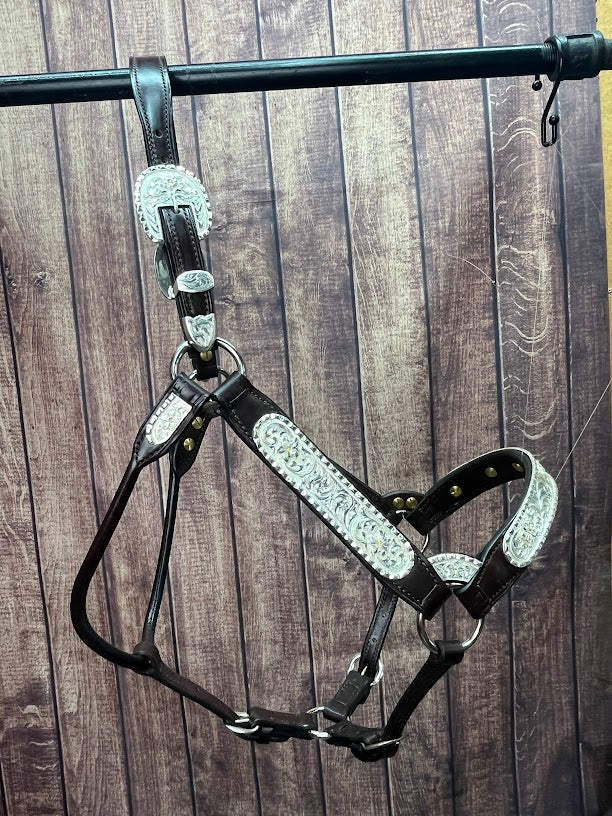#311 Santana Halter